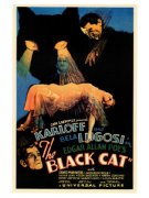 the-black-cat